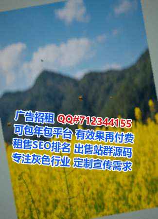 宁远代母文化传媒有限公司